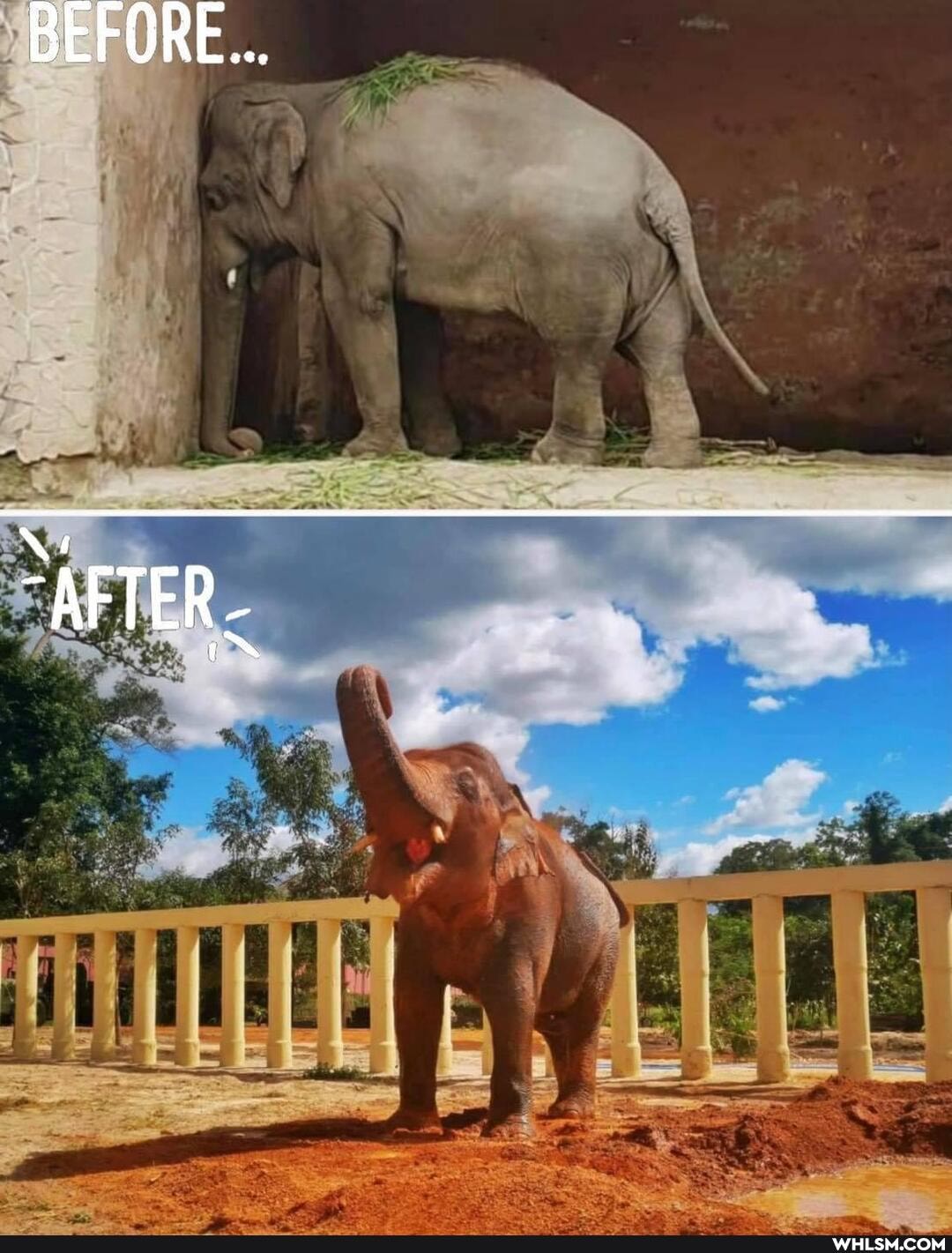BEFORE...
"AFTER
