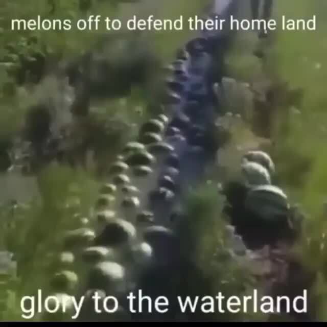 Melons off to defend their home land glory to the waterland )
