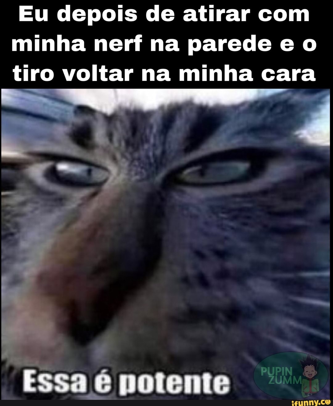 Eu depois de atirar com minha neri na parede e o tiro voltar na minha cara
Essa é potente