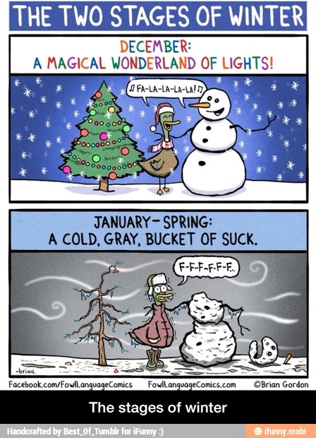 THE TWO STAGES OF WINTER
DECEMBER:
A MAGICAL WONDERLAND OF LIGHTS!
JANUARY SPRING:
A COLD, GRAY, BUCKET OF SUCK. - The stages of winter