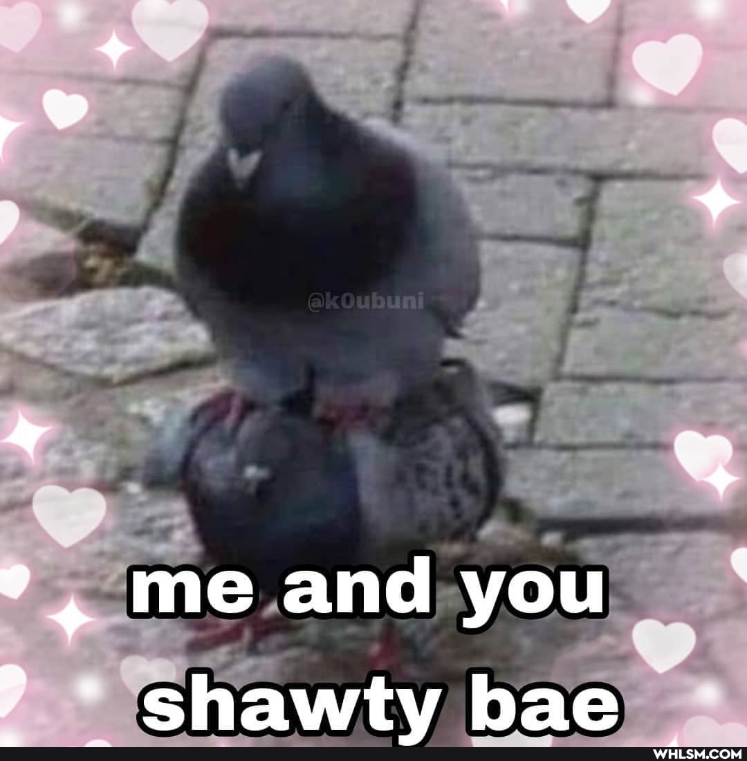 me and you
shawtv bae
