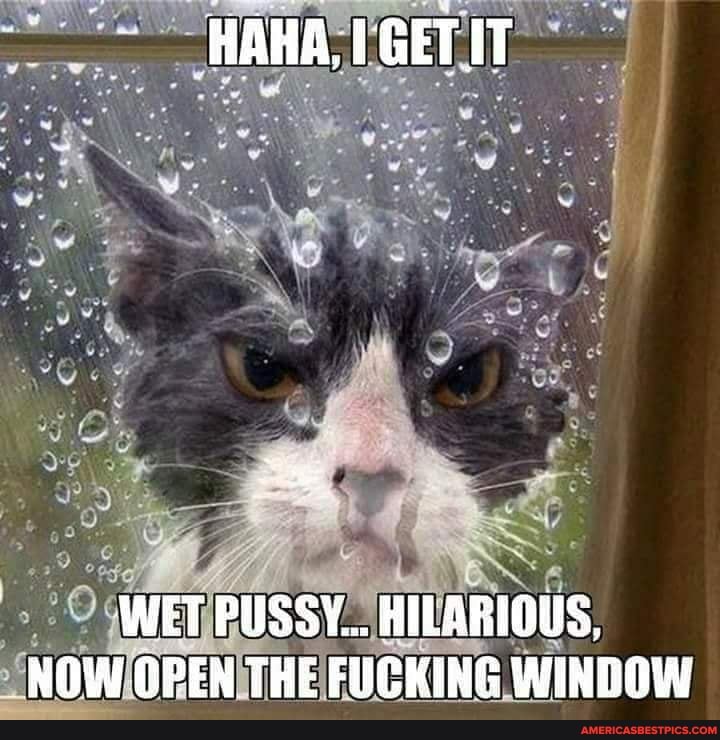 'HAHA, 1GETIT
WET PUSSY... HILARIOUS,
NOW OPEN THE FUCKING WINDOW