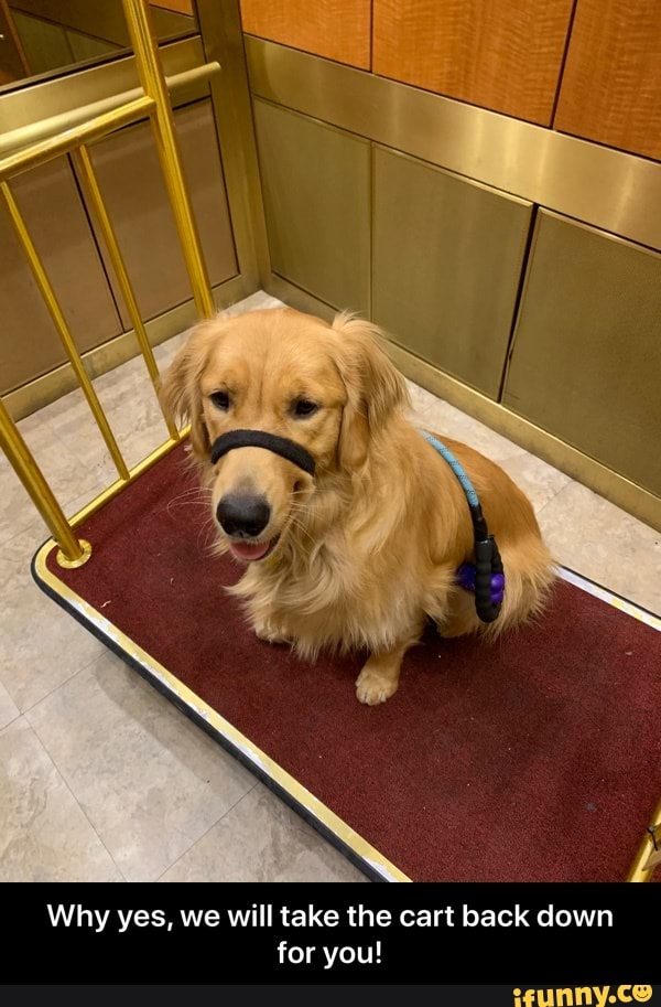 Why yes, we will take the cart back down for you! - Why yes, we will take the cart back down for you!