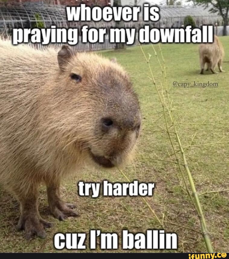 Whoever praying for my downfall try harder \ ballin - iFunny