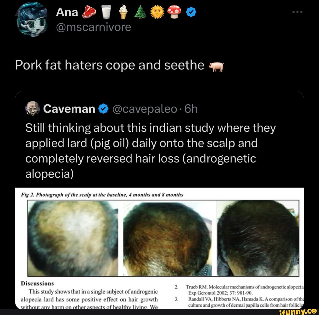 Video memes Ms3HApj6B by Nigtard iFunny