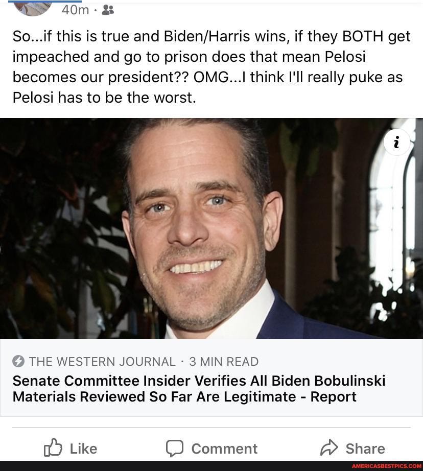 So...if this is true and wins, if they BOTH get impeached and go to prison does that mean Pelosi becomes our president?? OMG...I think I'll really puke as
Pelosi has to be the worst.
THE WESTERN JOURNAL - 3 MIN READ
Senate Committee Insider Verifies All Biden Bobulinski
Materials Reviewed So Far Are Legitimate - Report
PPammaent AS chara
