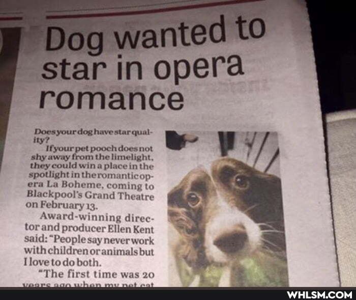 Does your dog have star qua! ity?
Ifyour pet pooch does not they could from the pl elight, they could wina inthe spotlight in anticop: era La Boheme, coming to
Blackpool's Grand Theatre on February 13.
Award-winning direc tor and producer Ellen Kent said: "People say never work with children oranimalsbut
20
Ilove to do both.
"The first time was
20
star in opera romance
Wy