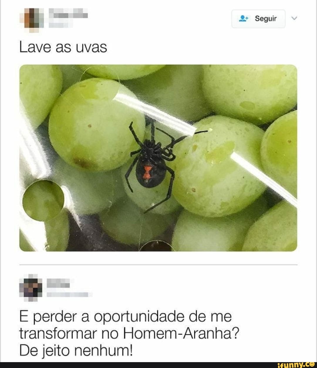 Seguir
Lave as uvas
E perder a oportunidade de me
transformar no Homem-Aranha?
De jeito nenhum!