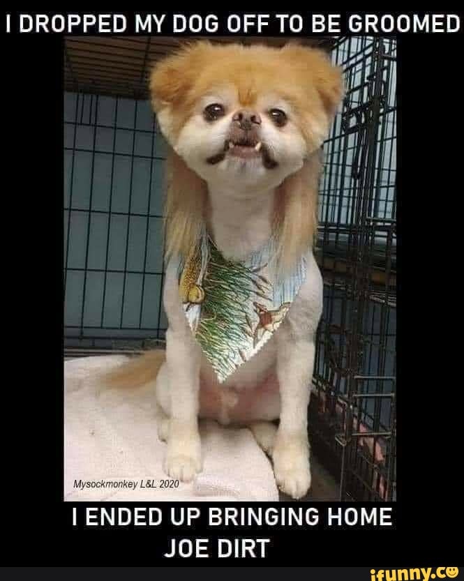 I DROPPED MY DOG OFF TO BE GROOMED
ENDED UP BRINGING HOME JOE DIRT