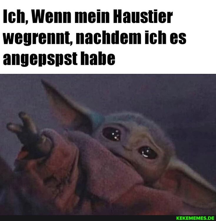 (ei, mein
wegrennt, nachdem ich es angenspsthahe