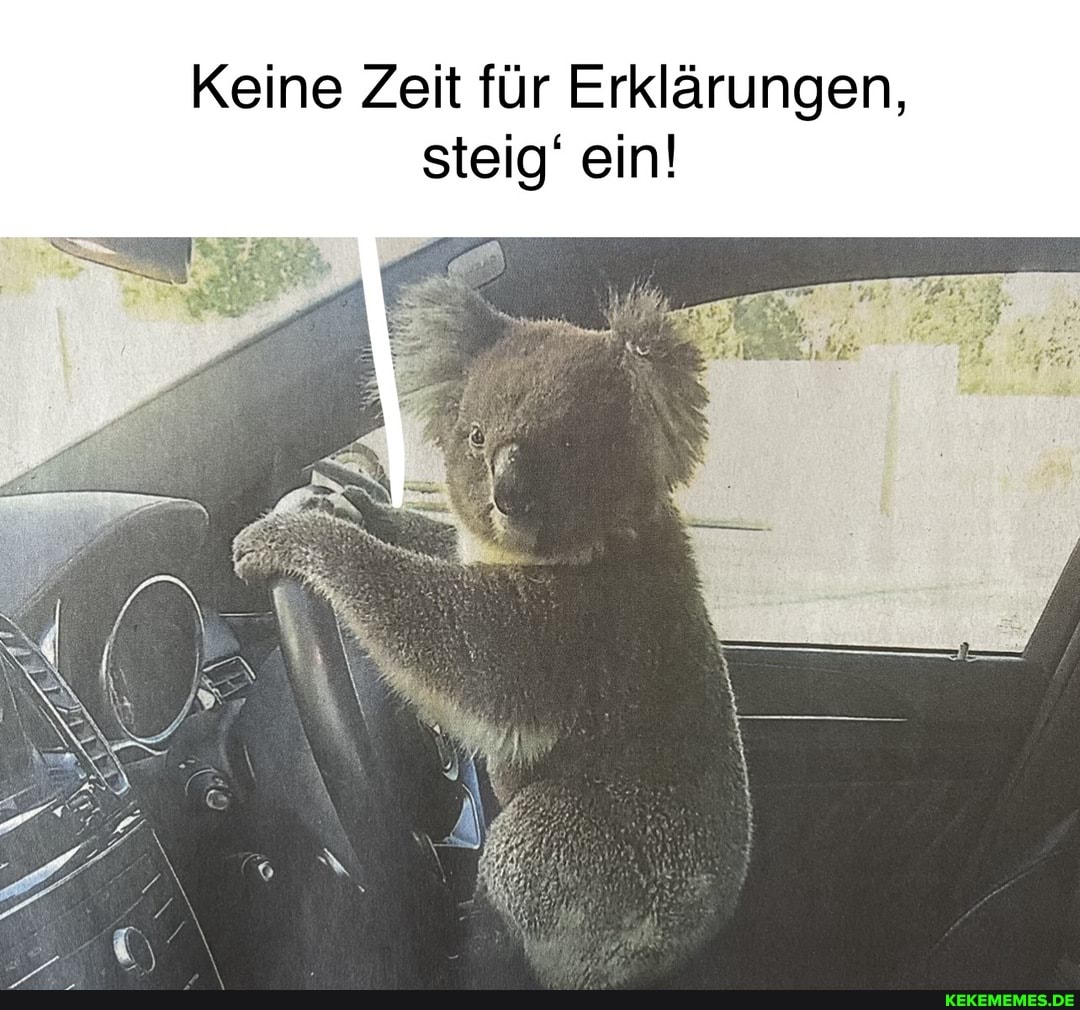 Keine Zeit für Erklärungen,
steig' ein!