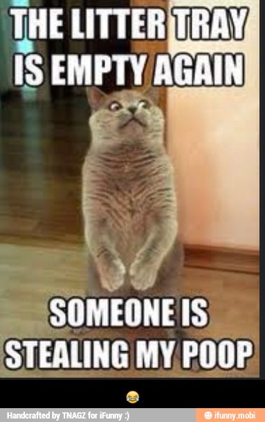 IS EMPTY AGAIN
SOMEONE Isi
STEALING MY,POOP) - π