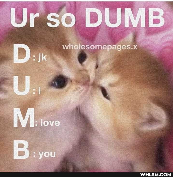 Ur so DUM
you