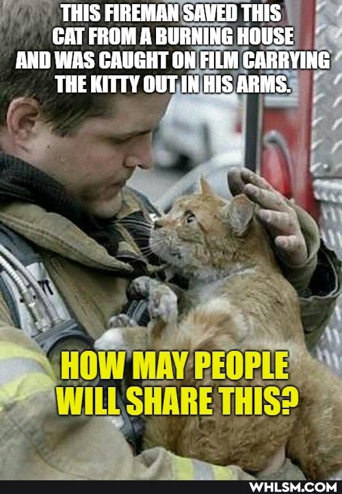 THIS FIREMAN SAVED THIS CAT FROM A BURNING HOUSE AND WAS CAUGHT ON FILM CARRYING THE KITTY OUT IN HIS ARMS.