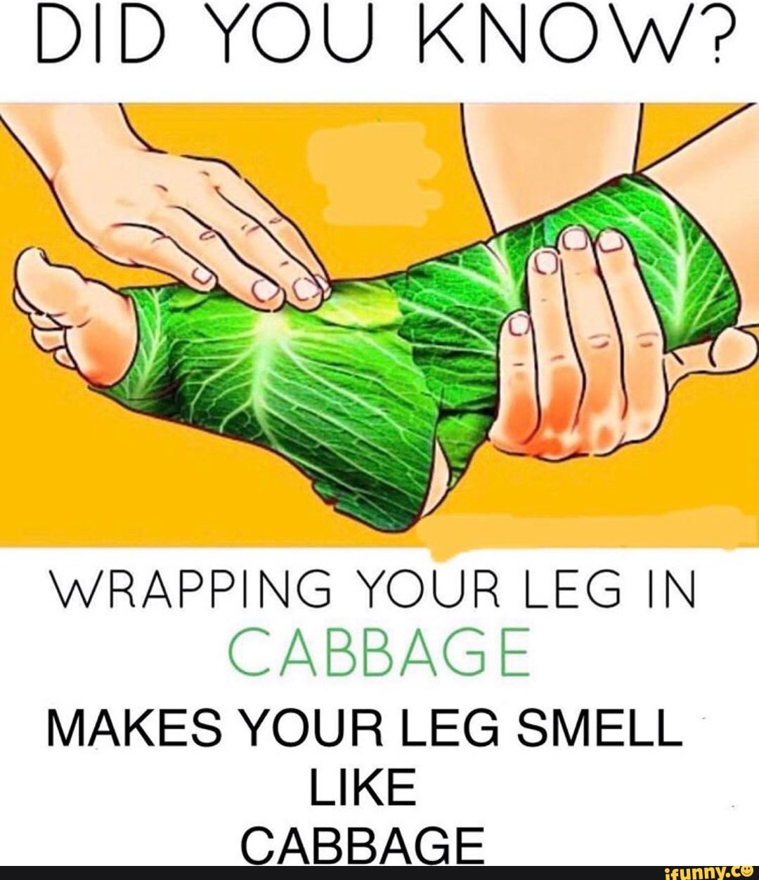 DID YOU KNOW? WRAPPING YOUR LEG IN CABBAGE MAKES YOUR LEG SMELL LIKE