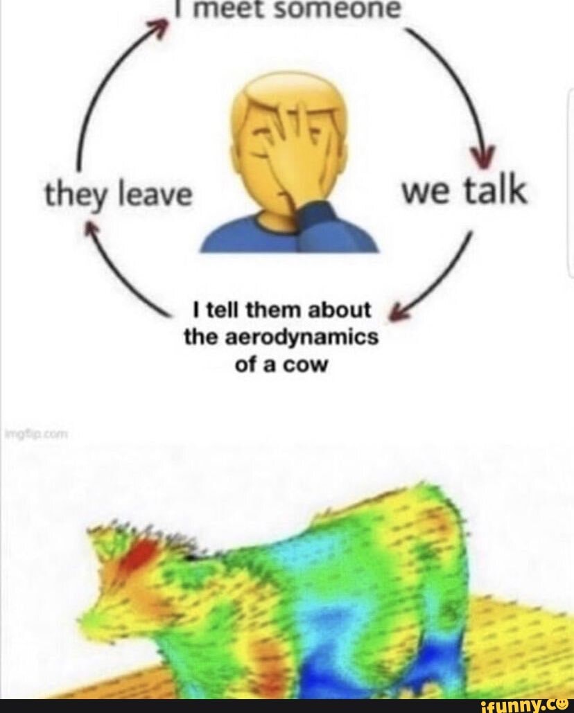 They We Talk Tell Them The Aerodynamics Of A Cow - Ifunny