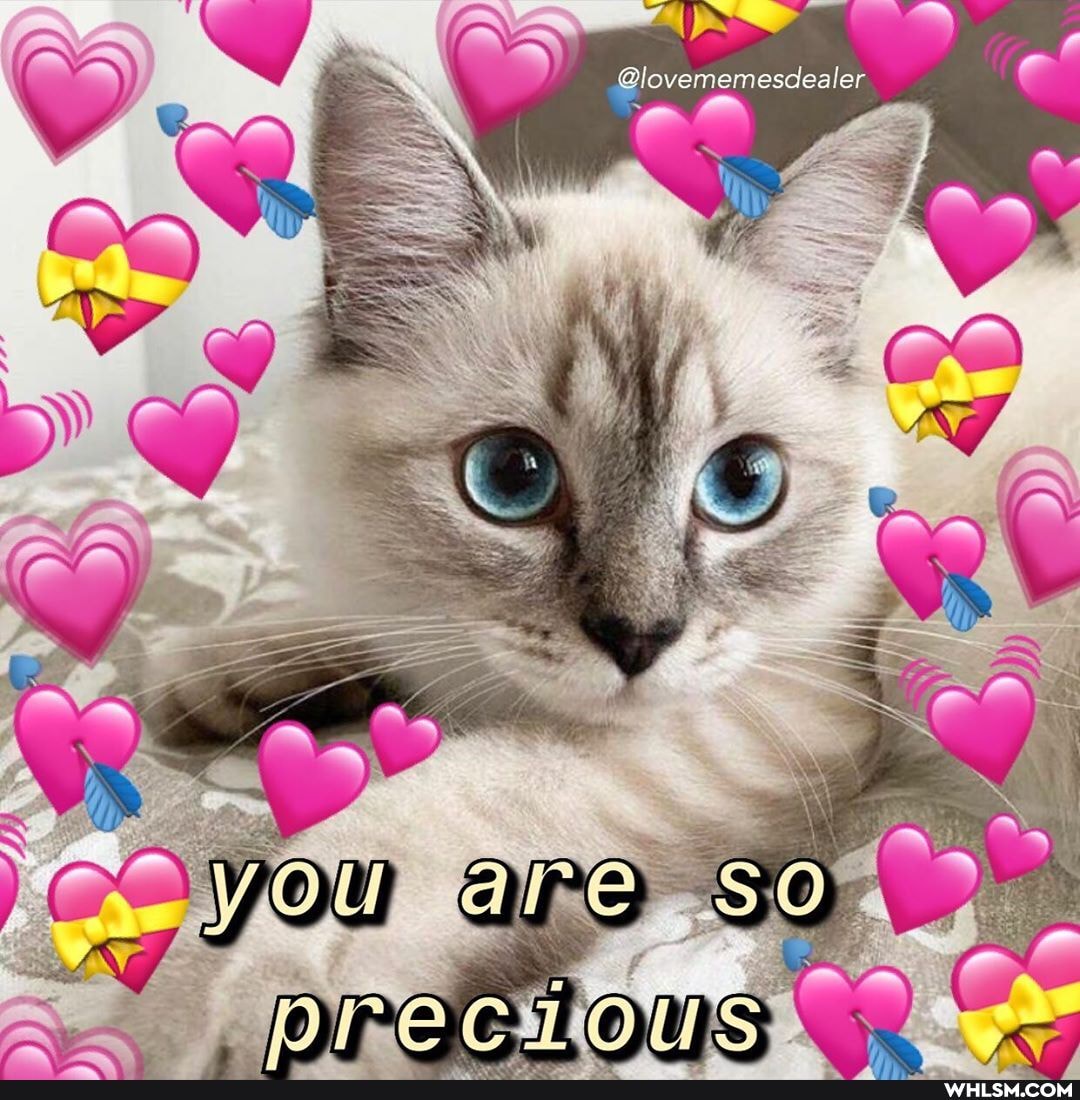 @lover
mesdealer