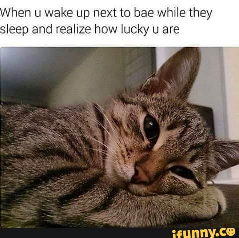 hen u wake up next to bae while they
sleep and realize how lucky u are