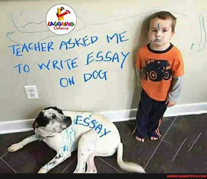LAUGHING
PACHER
ep ME
10 RITE ESSAY,
ag
