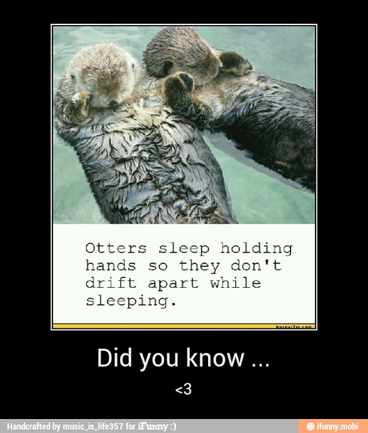 Did you know - Did you know ...
<3