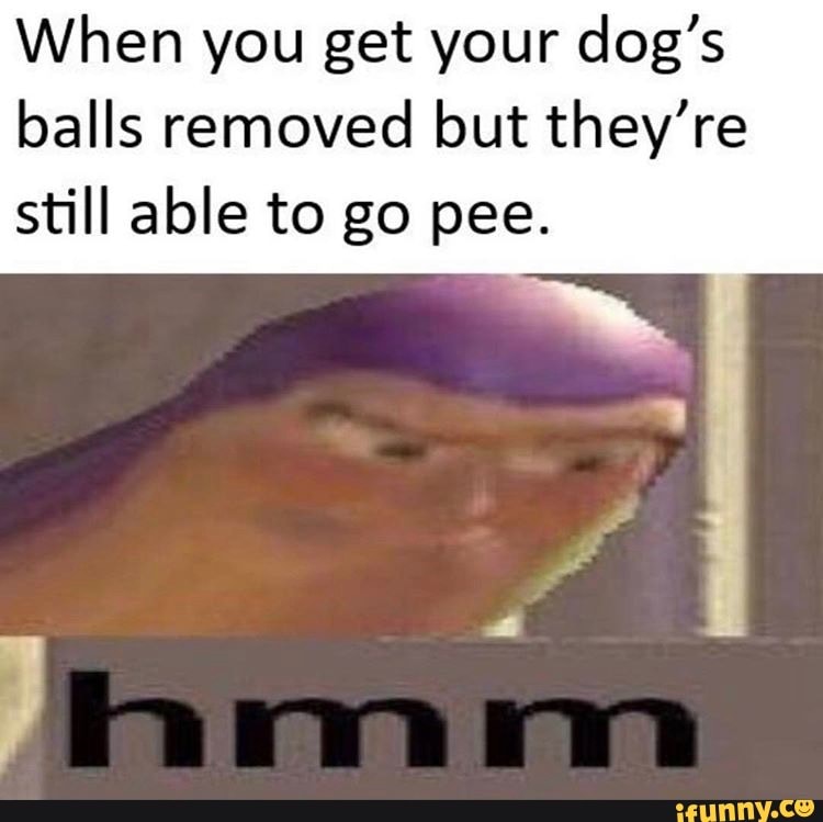 When you get your dog's balls removed but they're
still able to go pee.