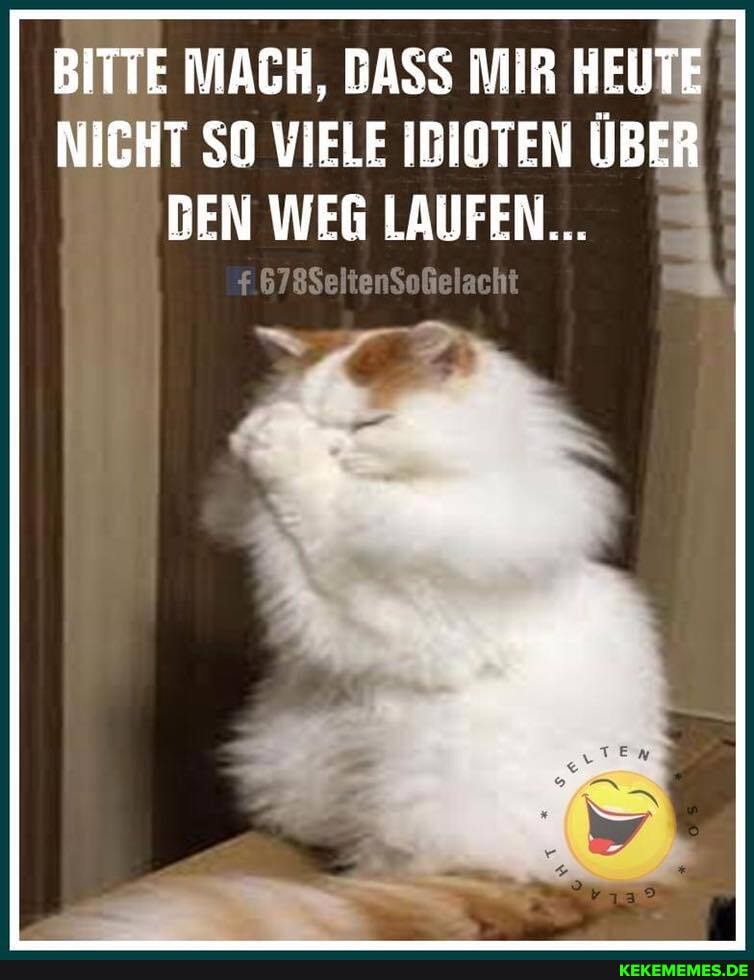 BITTE MACH, DASS MIR HEUTE NICHT SO VIELE IDIOTEN ÜBER BEN WEG LAUFEN...
678SeltenSoßelacht
72