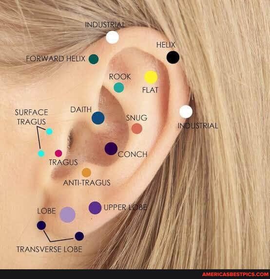 SURFACE DAITH TRAGUS
TRANSVERSE LOE