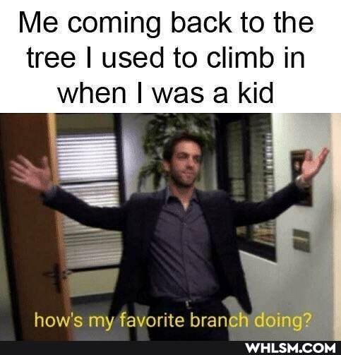 Me coming back to the tree I used to climb in when I was a kid
how's my favorite branch doina?