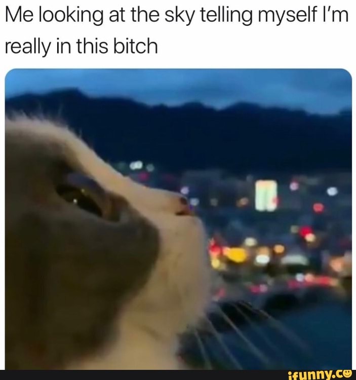 Me Looking At The Sky Telling Myself I M Really In This Bitch