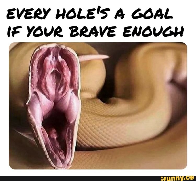 Every hole is a gole