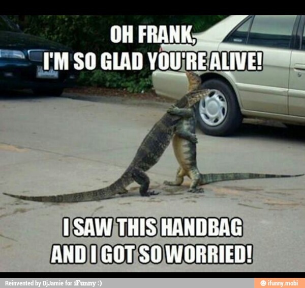 'SAW)THIS/ HANDBAG
AND/IGOTISO WORRIED!