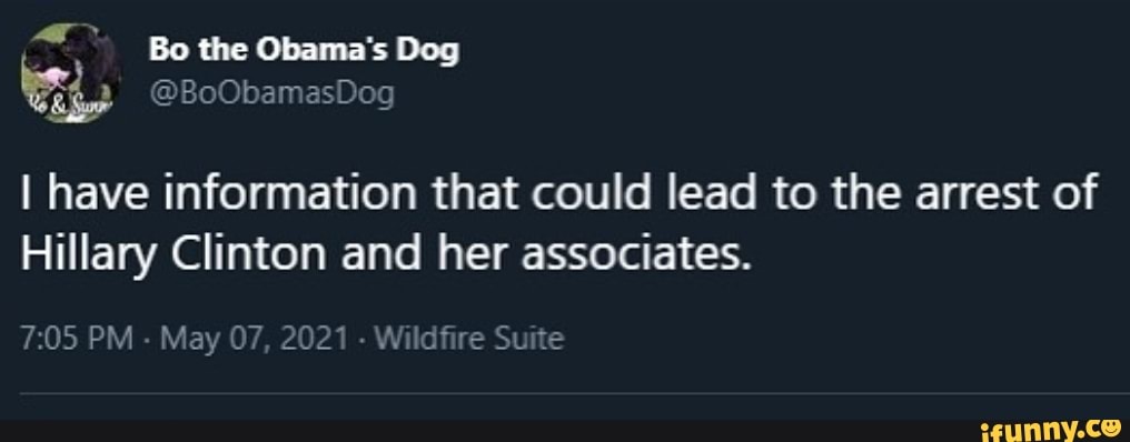 Bo the Obama's Dog
@BoObamasDog
I have information that could lead to the arrest of
Hillary Clinton and her associates.
PM - May 07, 2021 - Wildfire Suite