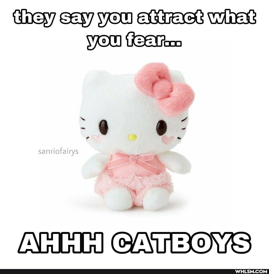 sanriofairys
AH AT BOYS