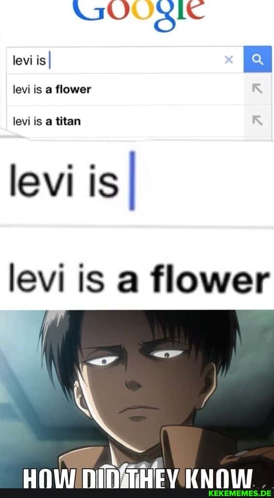 JOORIC levi is I levi is a flower levi is a titan levi is I levi is a flower