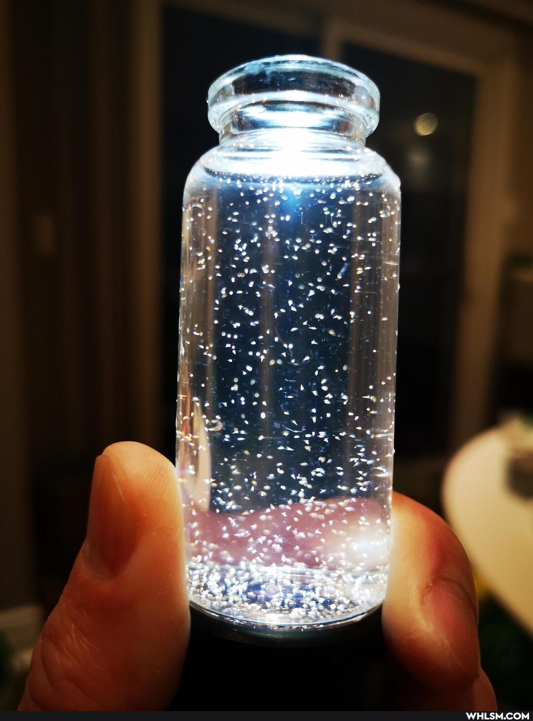 nature, mildly_interesting