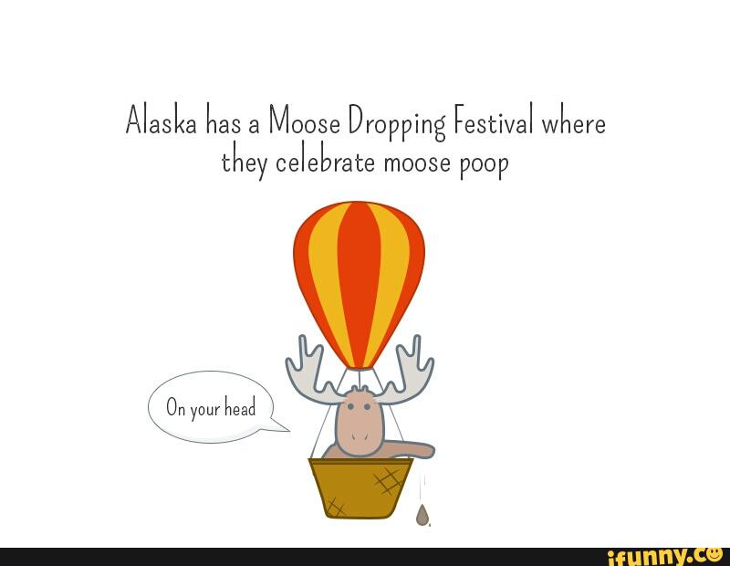 Alaska has a Moose Dropping Festival where they celebrate moose POOP )