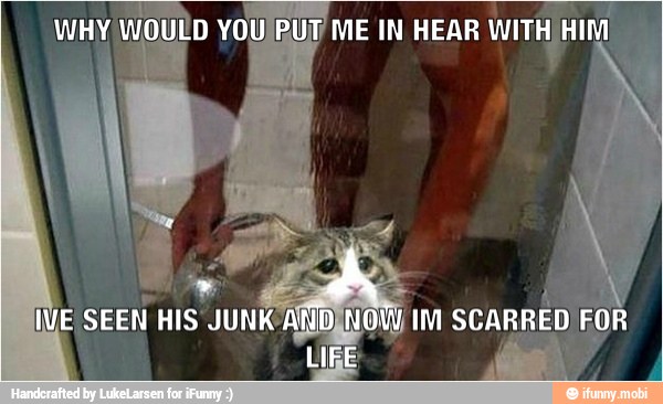 WHY WOULD YOU/PUT ME IN HEAR
WITH/HI