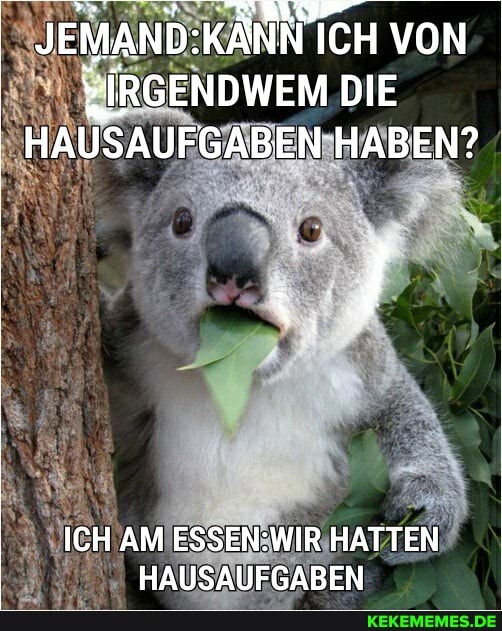 ICH VON
wIRGENDWEM DIE HAUSAUFGABEN HABEN?
ICH AM HATTEN HAUSAUFGABEN