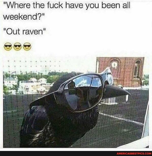 "Where the fuck have you been all weekend?"
"Out raven"