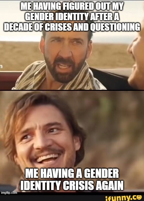 EggIRL MEHAVING FIGURED GENDER IDENTITY AFTER A DECADE OF CRISES AND