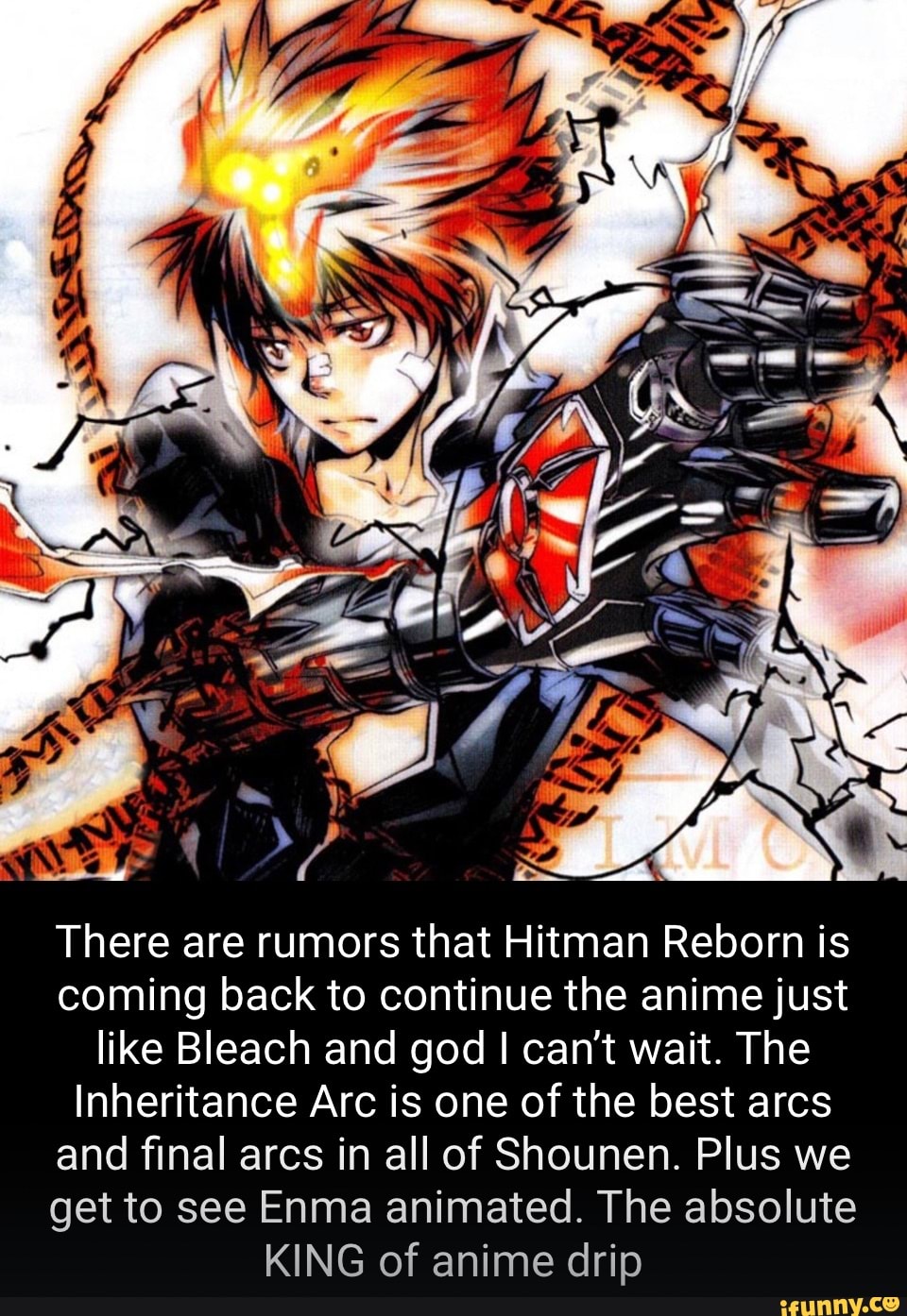 There are rumors that Hitman Reborn is coming back to continue the anime  just like Bleach