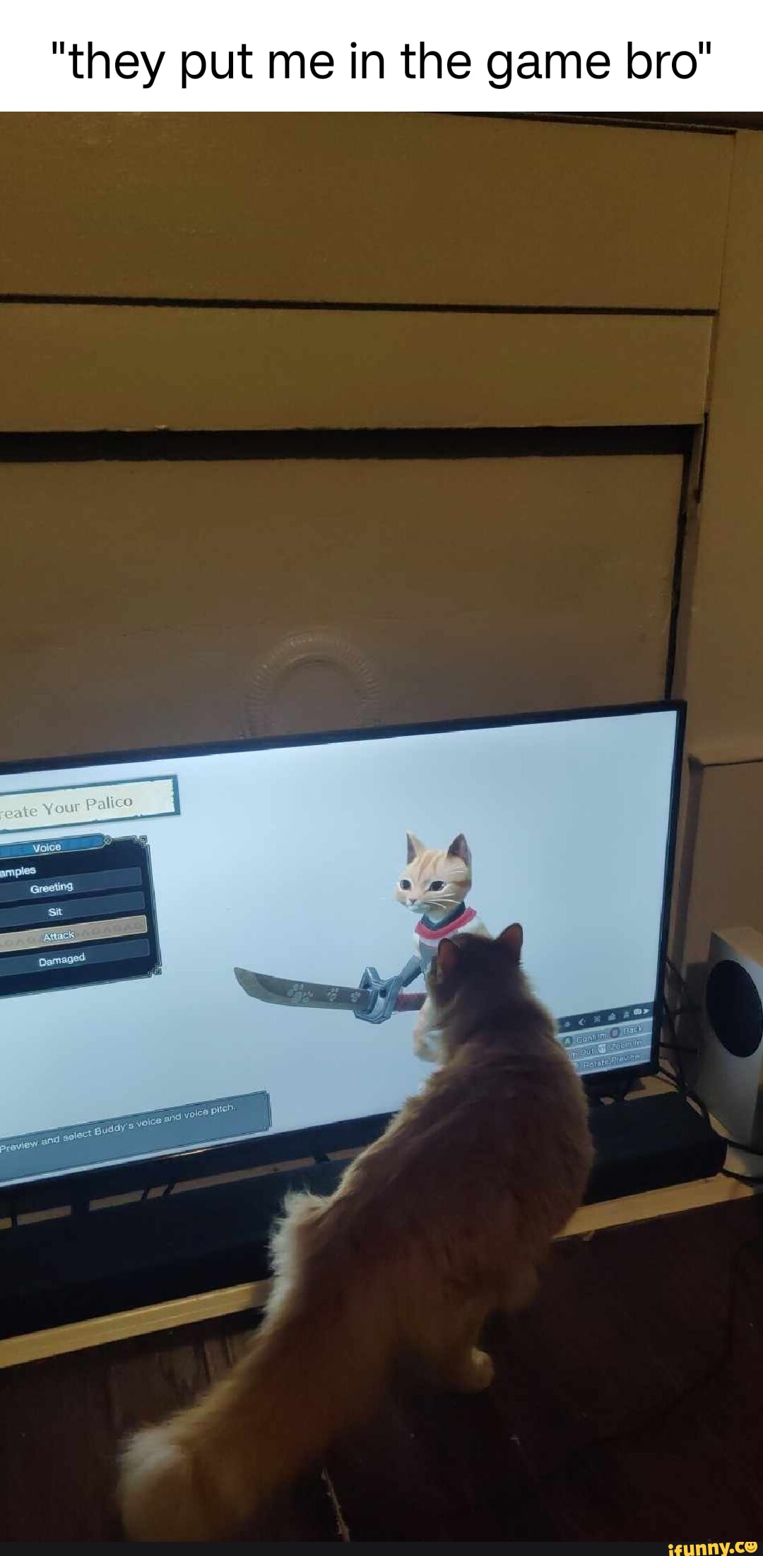 They Put Me In The Game Bro Gate Your Palies Ifunny