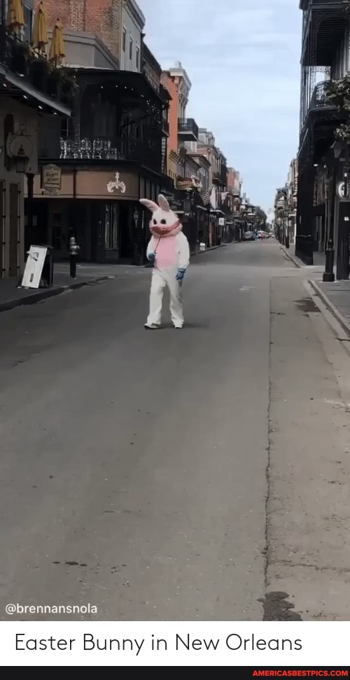 Easter Bunny in New Orleans brennansnola Easter Bunny in New Orleans