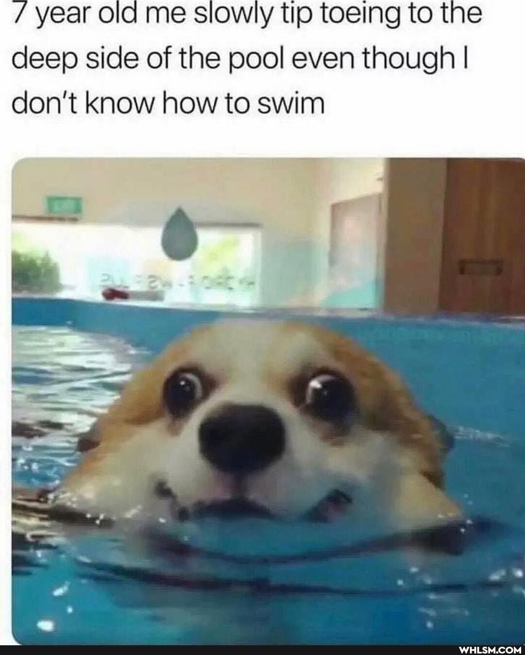 year old me Slowly tip toeing to the deep side of the pool even though I don't know how to swim