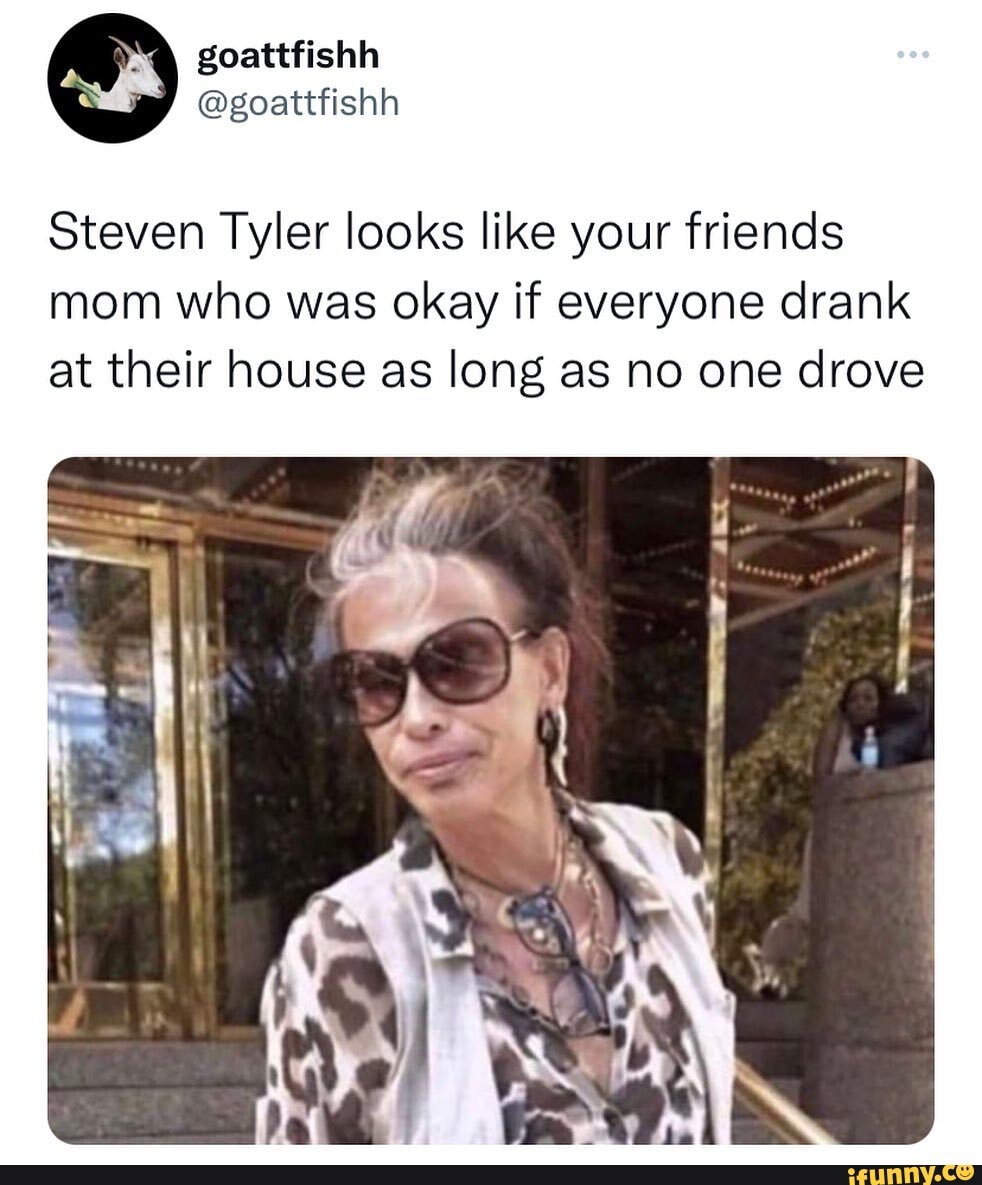steven-tyler-looks-like-your-friends-mom-who-was-okay-if-everyone-drank