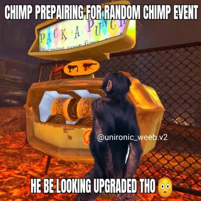 Chimp event random Random Chimp
