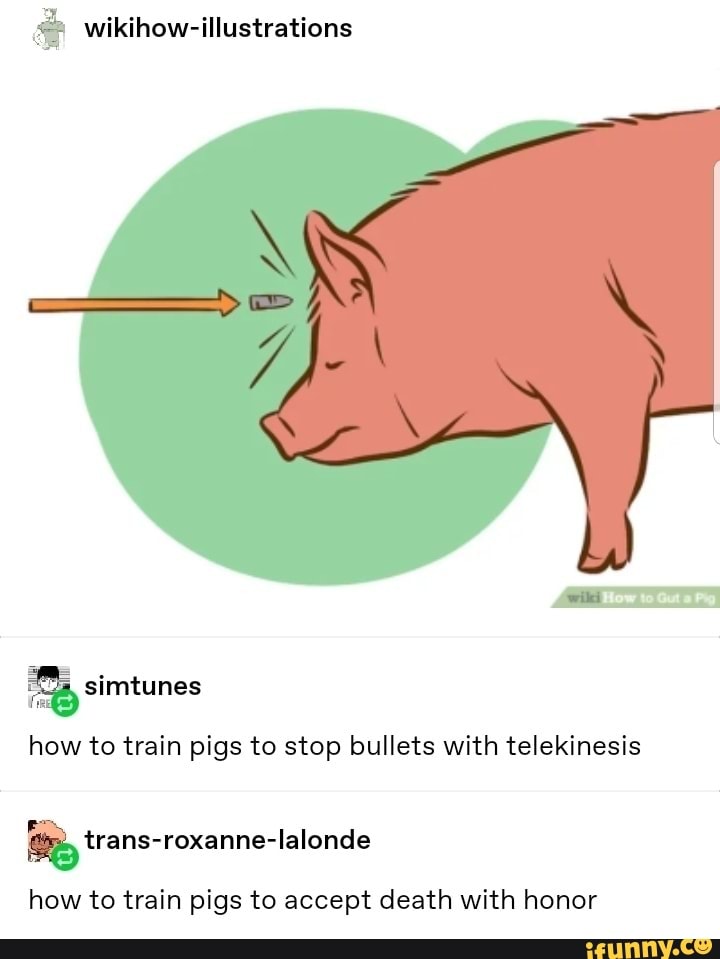 wikihow-illustrations
how to train pigs to stop bullets with telekinesis
ES trans-roxanne-lalonde
how to train pigs to accept death with honor