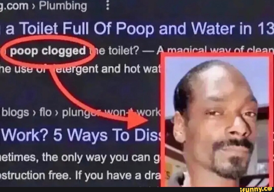 Things I I like about Wanderer His other aunt mom His sister His aunt