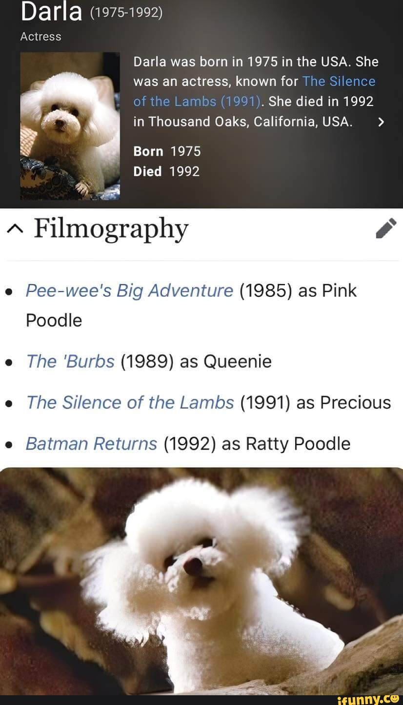 Darla (1975-1992) Actress Darla was born in 1975 in the USA. She was an