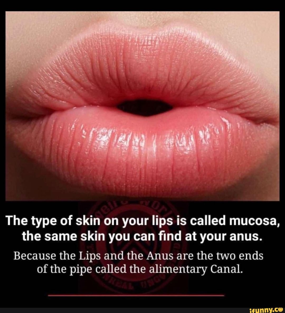 the-type-of-skin-on-your-lips-is-called-mucosa-the-same-skin-you-can